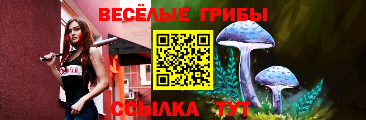 Псилоцибиновые грибы Cubensis  Псилоцибиновые грибы Psilocybe  Белово  Вход с VPN 