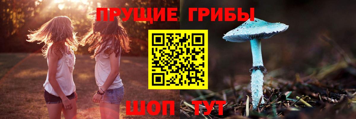 Псилоцибиновые грибы Cubensis Белово