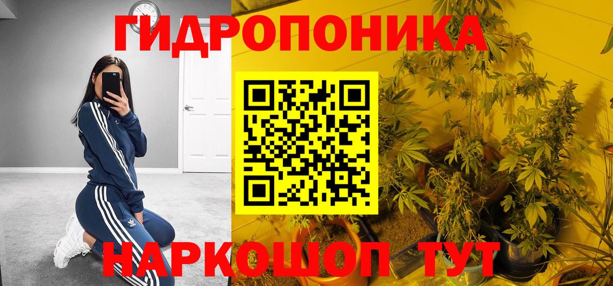 Канабис Ganja  Канабис Bruce Banner  Каннабис семена  Вход с VPN  Белово  Каннабис гибрид 